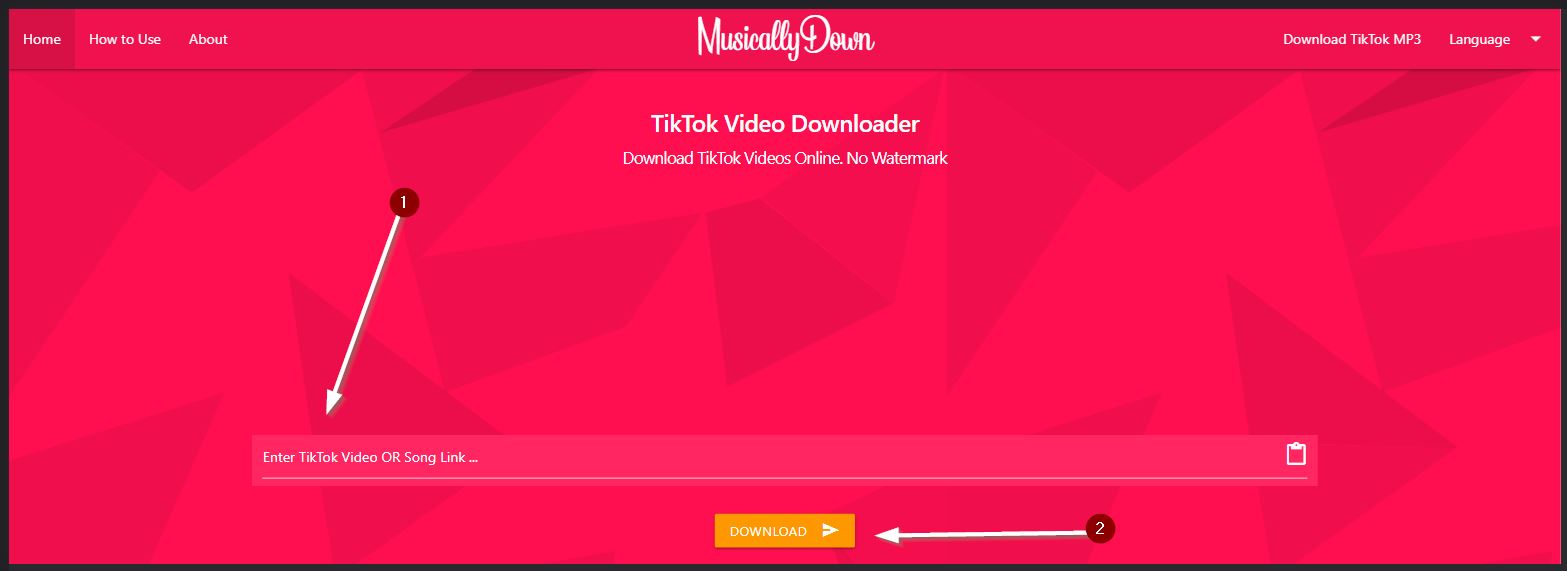 copy and paste tiktok video url